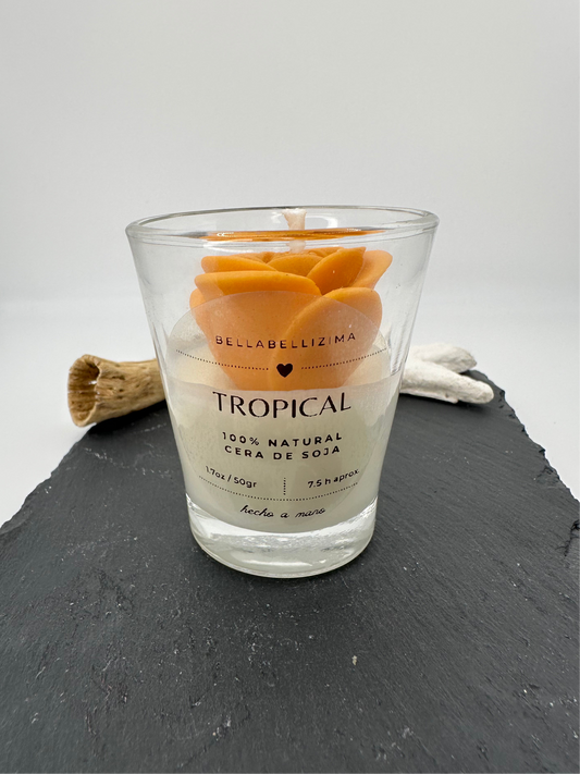 Vela decorativa vaso Tropical