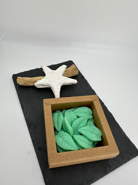 Bergamota y sándalo